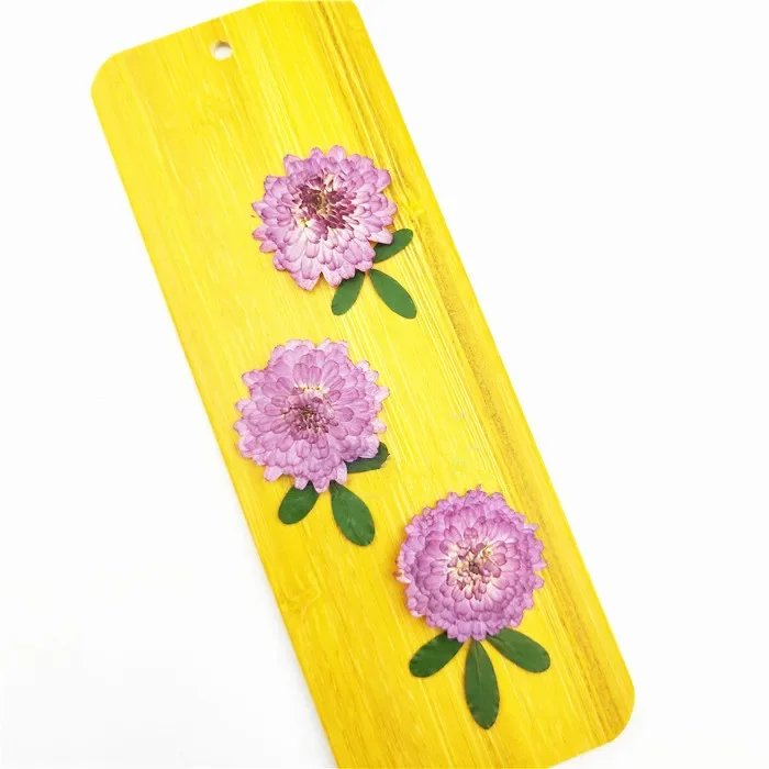 Natural Pressed Flowers Real Dried Chrysanthemum Pressed Purple Mini Daisy for DIY Art Craft Bookmark Decoration