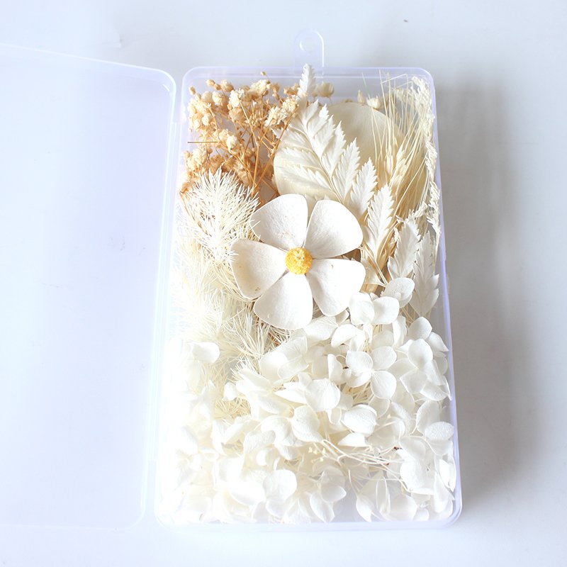 Boxed Mix Beautiful Real Dried Flowers Natural Floral For Art Craft Scrapbooking Resin Jewelry Craft Making Epoxy Mold Filling