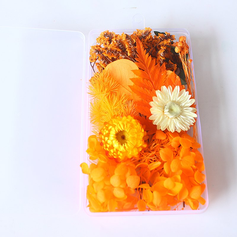 Boxed Mix Beautiful Real Dried Flowers Natural Floral For Art Craft Scrapbooking Resin Jewelry Craft Making Epoxy Mold Filling