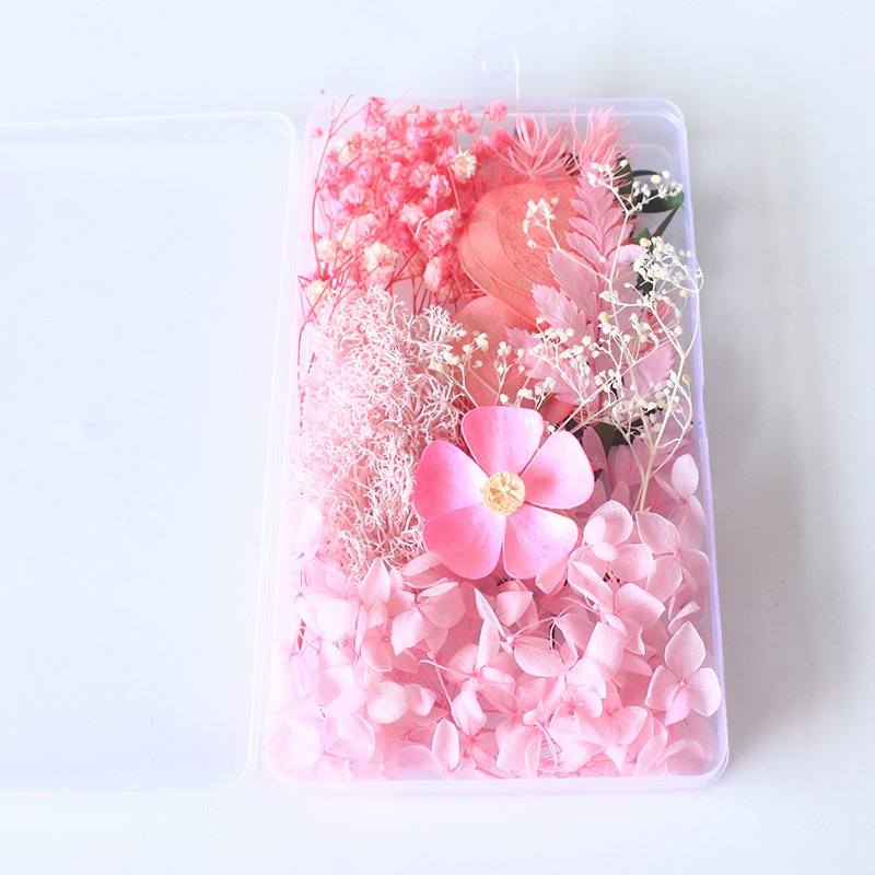 Boxed Mix Beautiful Real Dried Flowers Natural Floral For Art Craft Scrapbooking Resin Jewelry Craft Making Epoxy Mold Filling