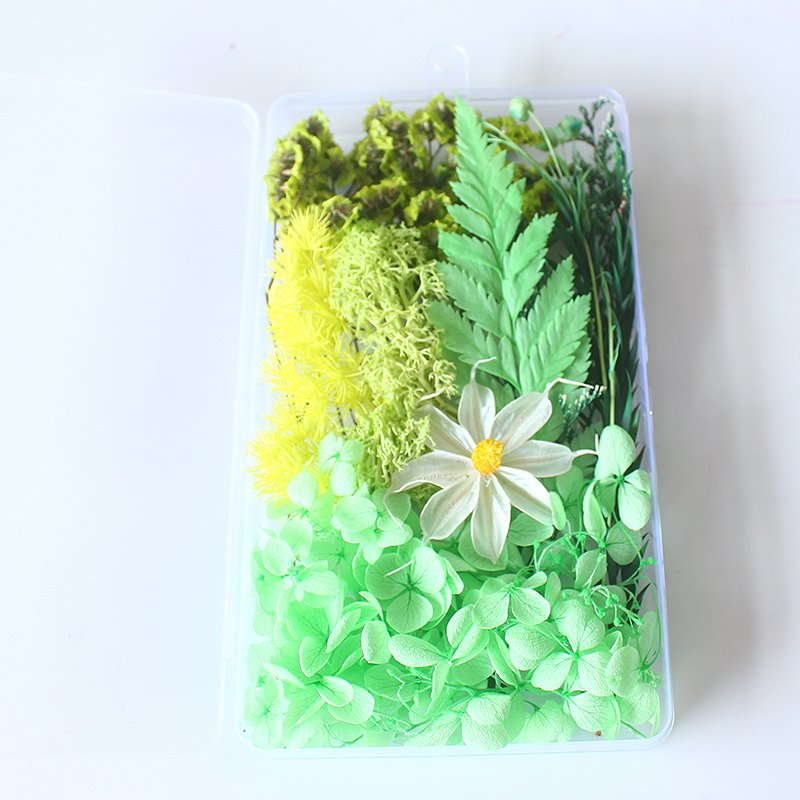 Boxed Mix Beautiful Real Dried Flowers Natural Floral For Art Craft Scrapbooking Resin Jewelry Craft Making Epoxy Mold Filling