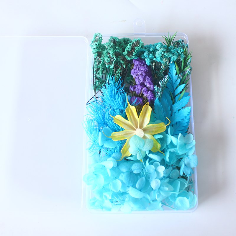 Boxed Mix Beautiful Real Dried Flowers Natural Floral For Art Craft Scrapbooking Resin Jewelry Craft Making Epoxy Mold Filling