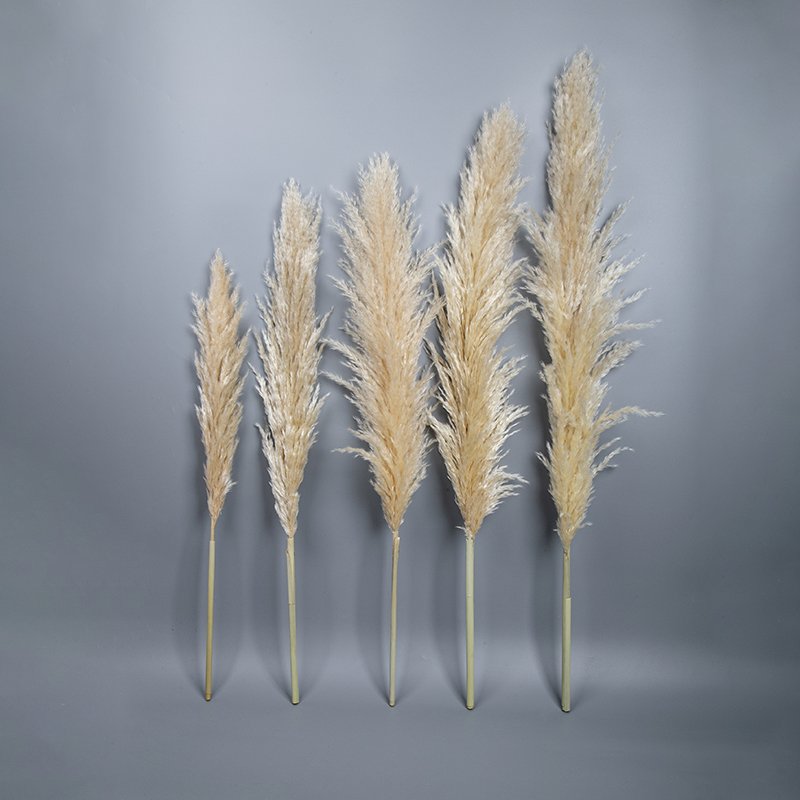 Wholesale Natural Flocking Dried Beige Flowers 30~80cm Fluffy Pampas Grass Wedding Decor Pampas Bouquet