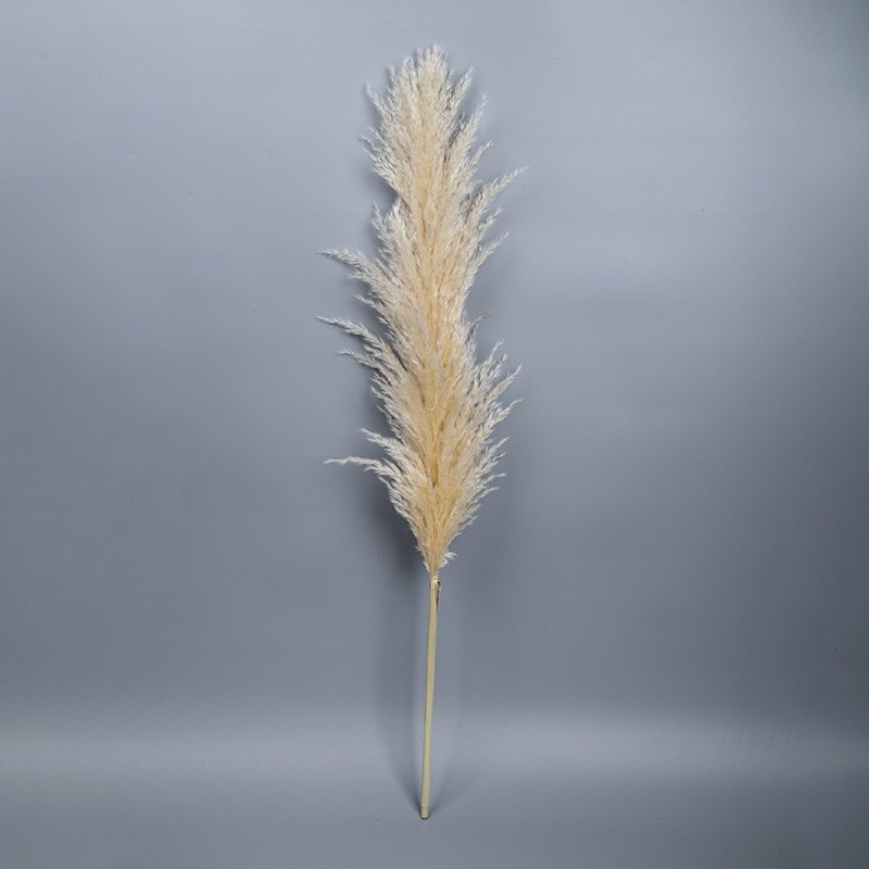 Wholesale Natural Flocking Dried Beige Flowers 30~80cm Fluffy Pampas Grass Wedding Decor Pampas Bouquet
