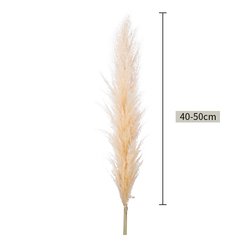 40~50cm