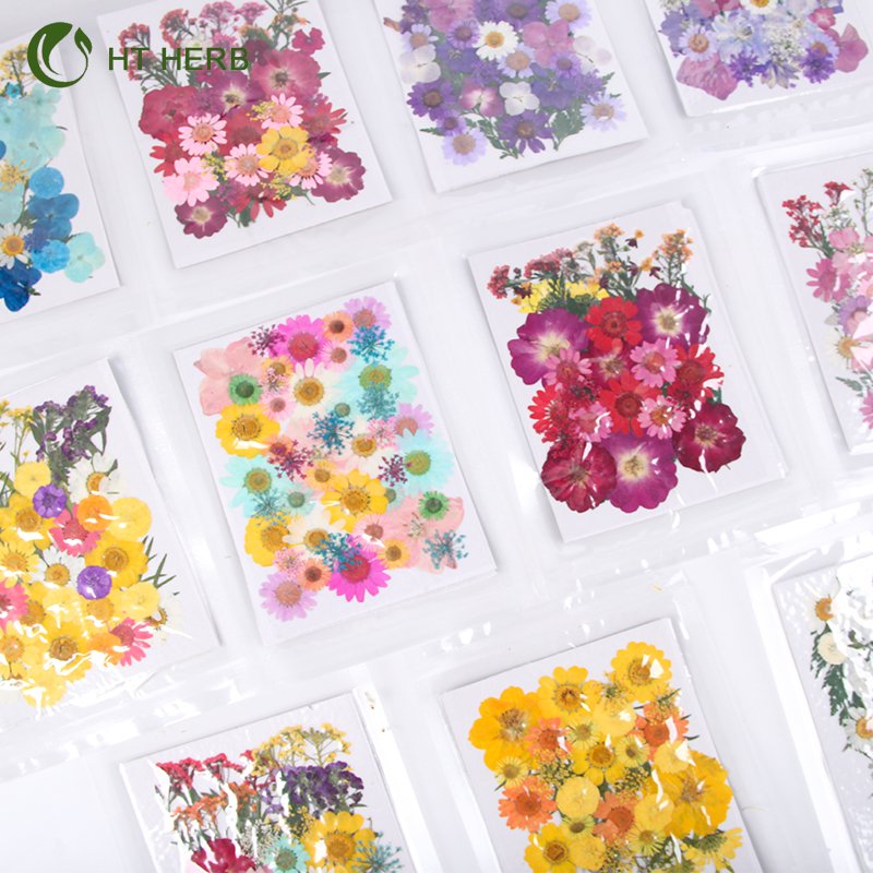 Mini Vacuum Package Petals Frame Pressed Preserved Dry Natural Plants Dried Flower For Nails Candles Resin Epoxy Phone Case
