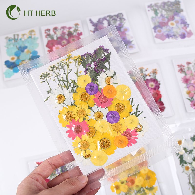 Mini Vacuum Package Petals Frame Pressed Preserved Dry Natural Plants Dried Flower For Nails Candles Resin Epoxy Phone Case