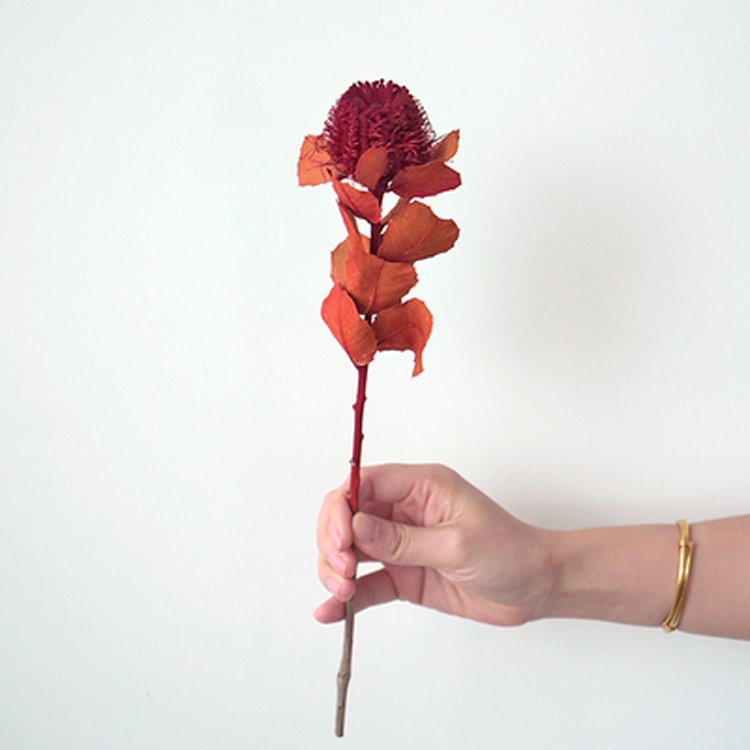 Yunnan wholesale natural long lasting flowers dried small bakes for wedding decoration