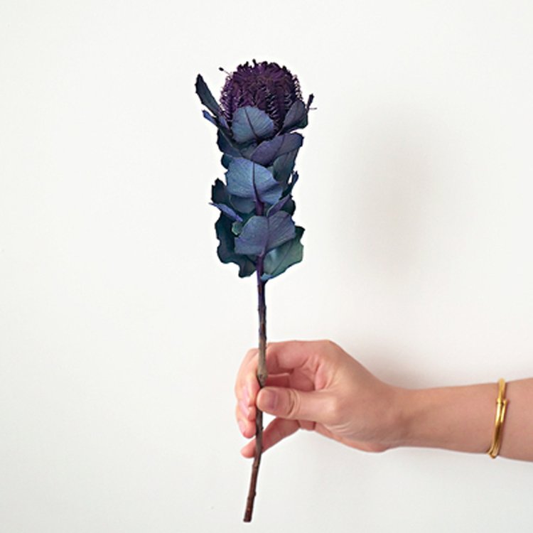 Yunnan wholesale natural long lasting flowers dried small bakes for wedding decoration