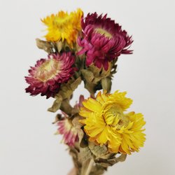 Colorful