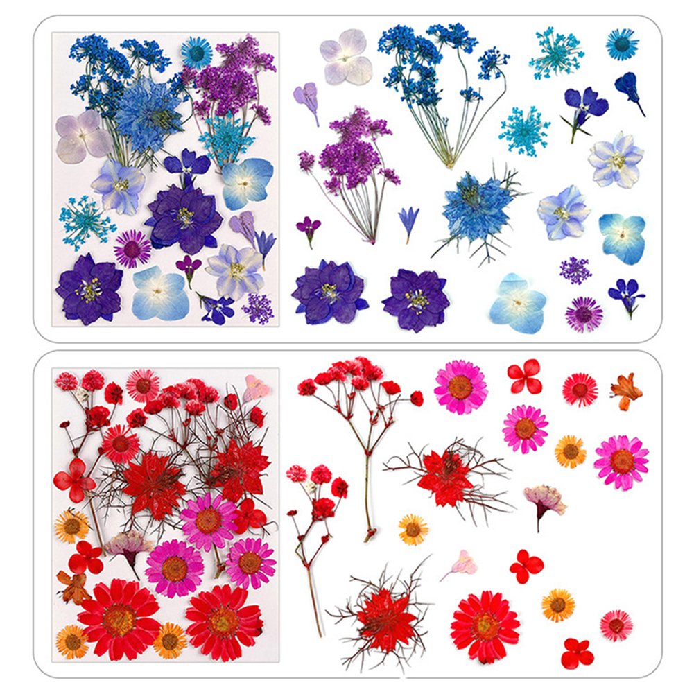 Real Pressed Dried Flowers Dry Leaves Bulk For Jewelry Card Necklace Making Art Crafts Decoration