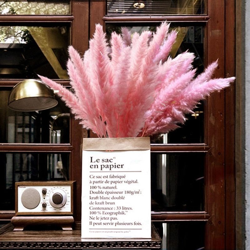 B27-X 2021 popular wedding decor Little Pampas natural dry Small reed decorative flowers dried flower Small Pampas pampa grass