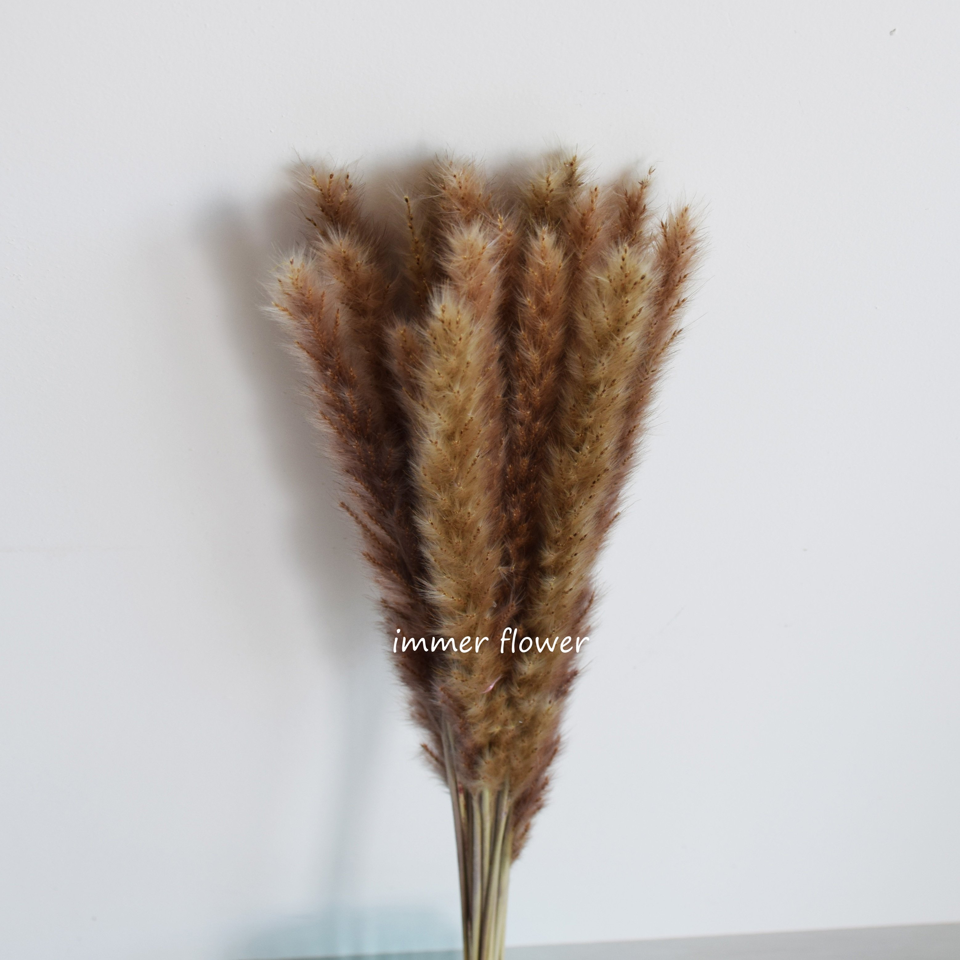 Beautiful Dry Reed Flower Cheap Wholesale From China