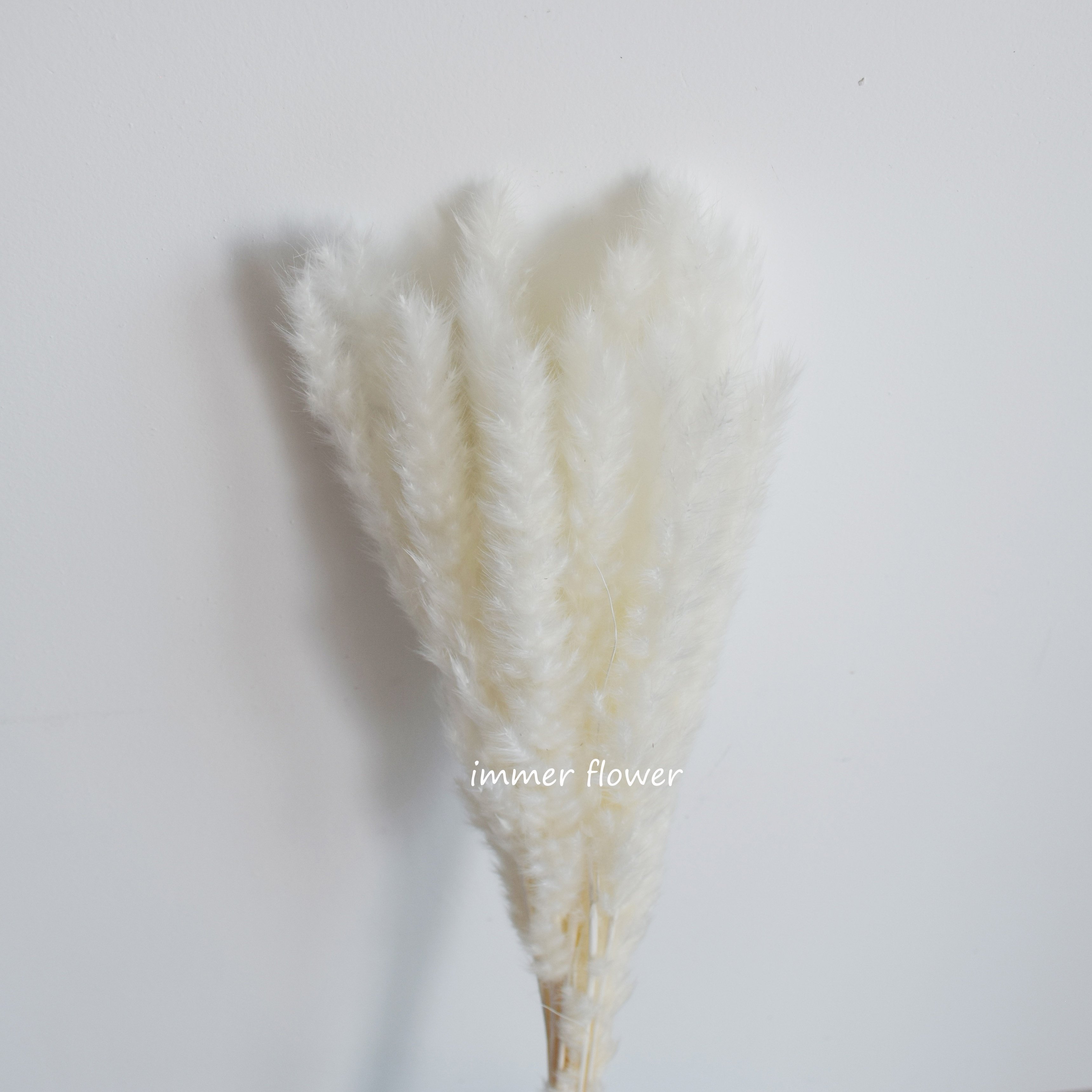Beautiful Dry Reed Flower Cheap Wholesale From China