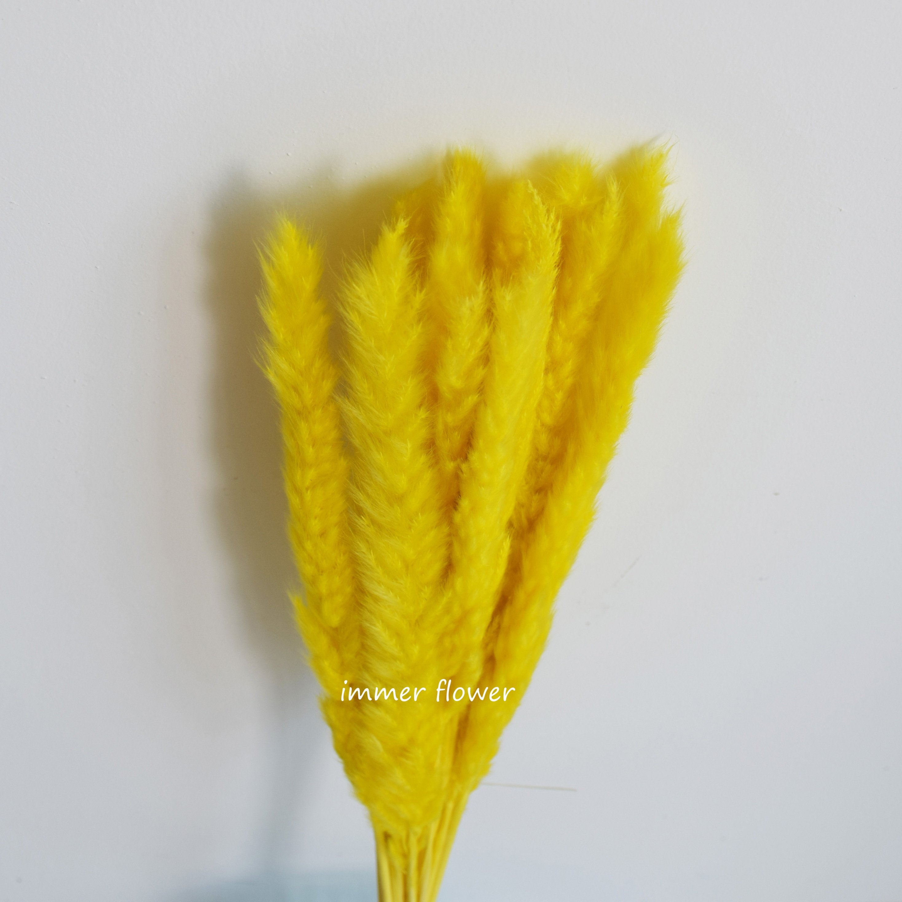 Beautiful Dry Reed Flower Cheap Wholesale From China