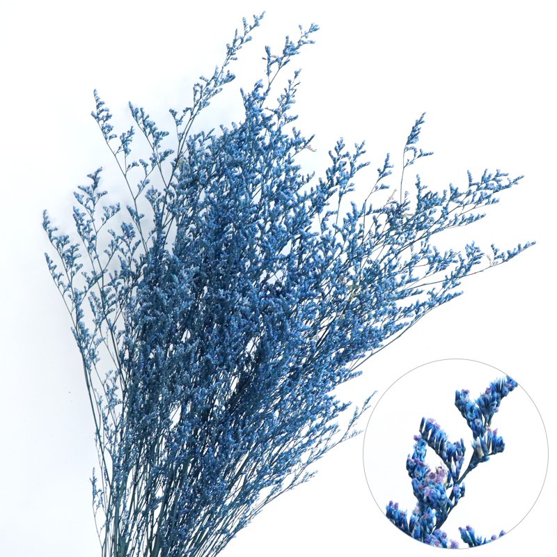 Popular wholesale dried flowers natural bleached valentine's grass preserved limonium white misty blue limouniums