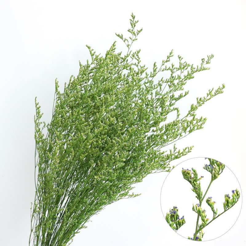 Popular wholesale dried flowers natural bleached valentine's grass preserved limonium white misty blue limouniums