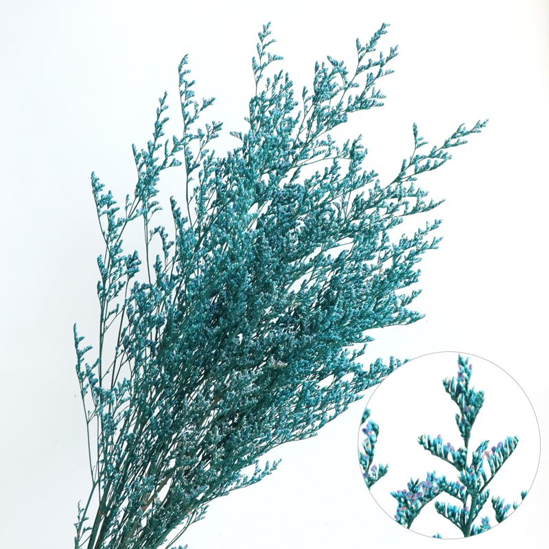 Popular wholesale dried flowers natural bleached valentine's grass preserved limonium white misty blue limouniums
