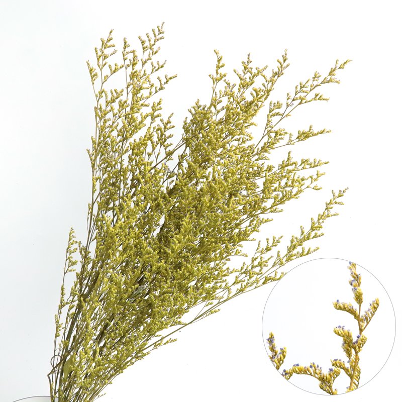 Popular wholesale dried flowers natural bleached valentine's grass preserved limonium white misty blue limouniums