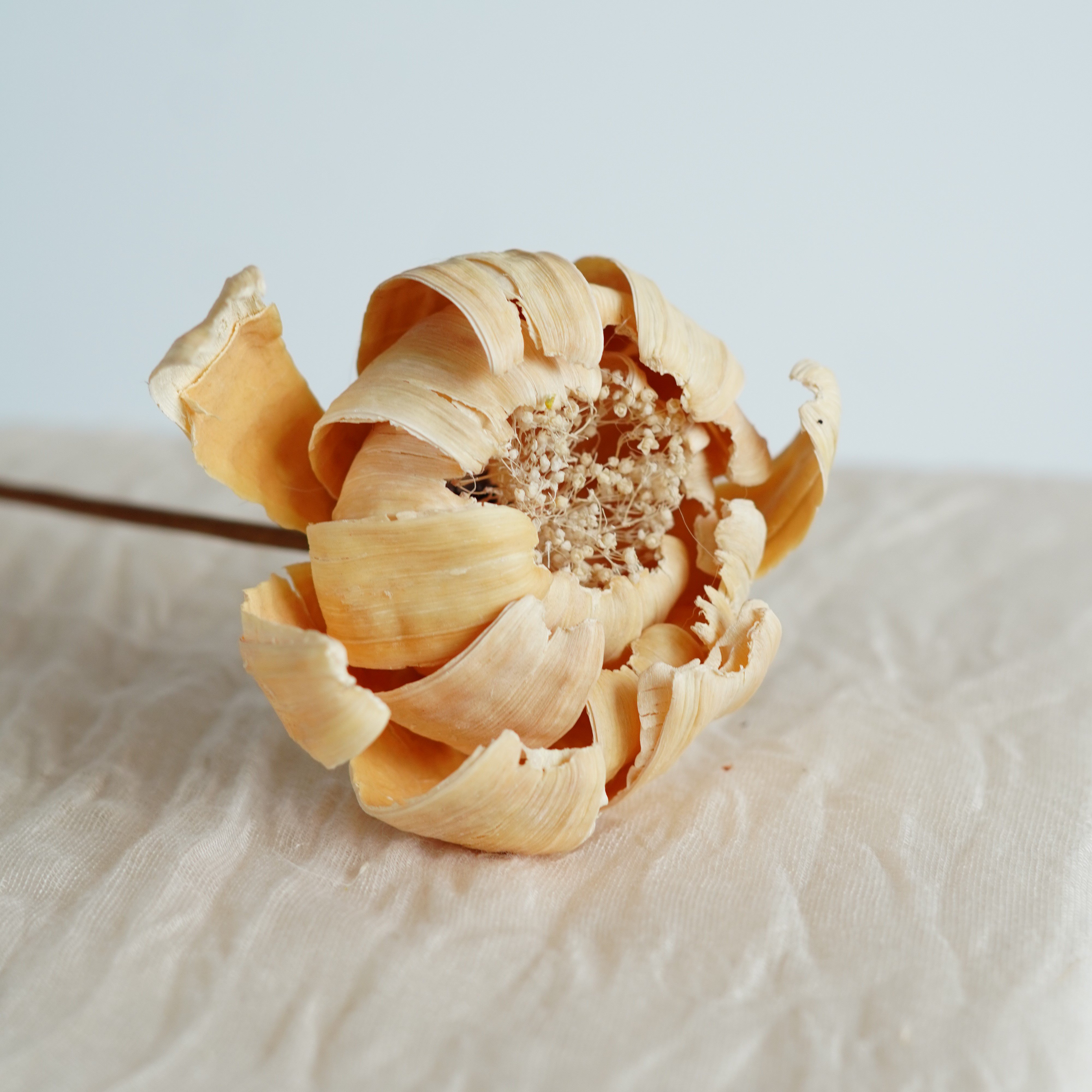 Handmade natural dried flowers home decor with Artificial Husk Flowers,Flower Arrangement