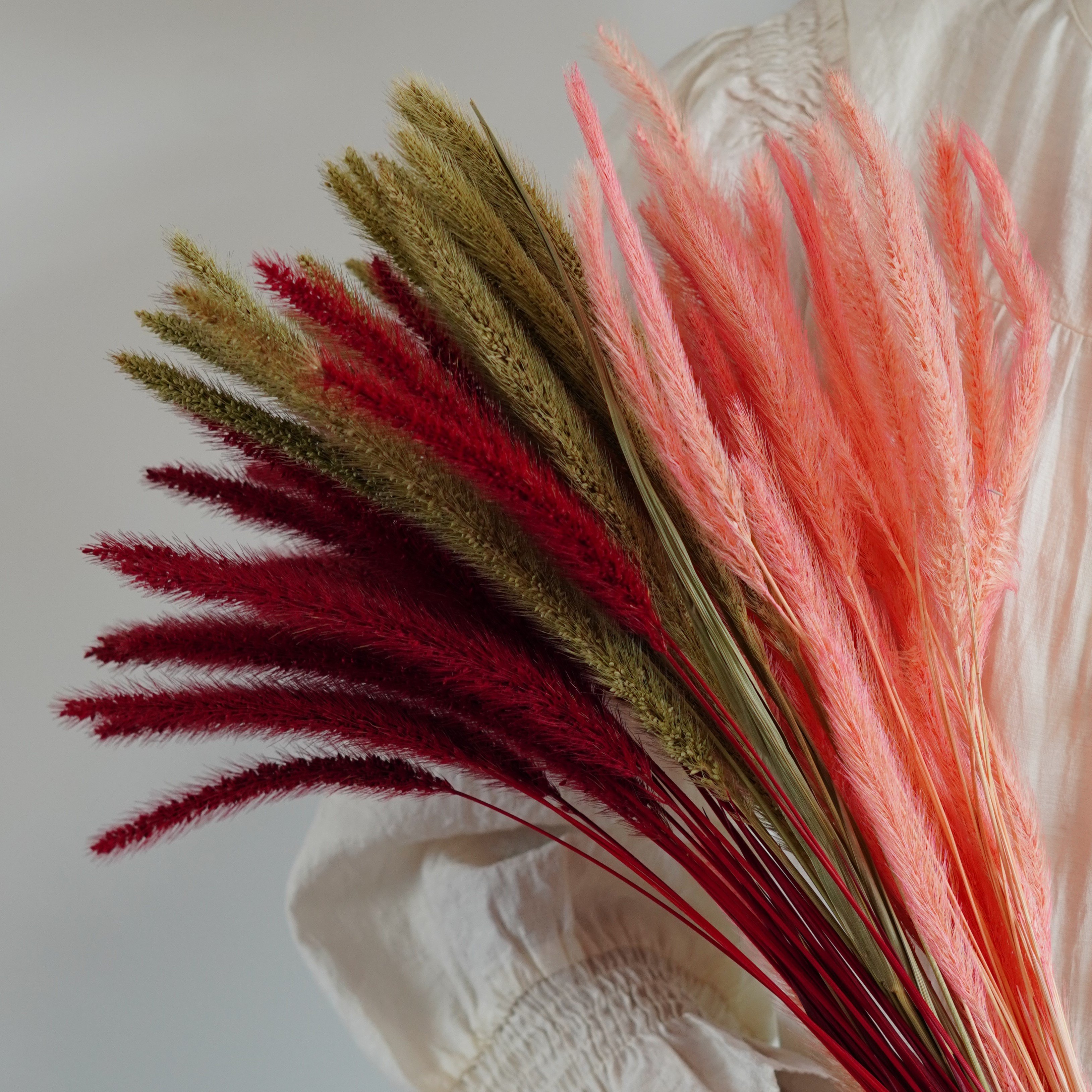 Dried Bunny Rabbit Tail Grass Lagurus Grass Naturally Boho Wedding Decor Dried Flowers