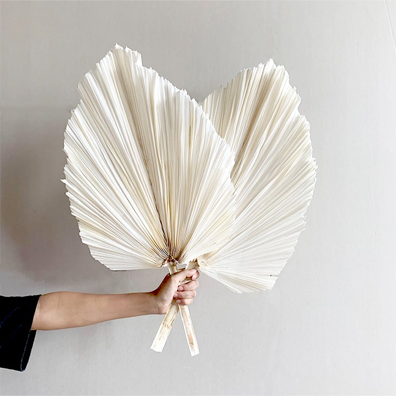 AX38 2023 wedding supplies natural dry flower palm leaves decorative flowers & wreaths wedding decoration