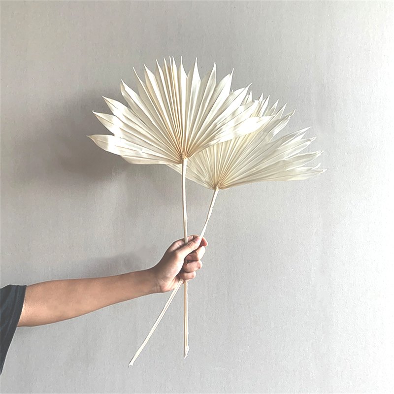 AX38 2023 wedding supplies natural dry flower palm leaves decorative flowers & wreaths wedding decoration