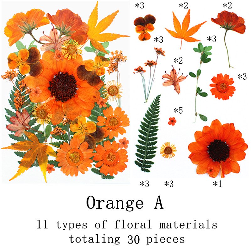 Wholesale Real Orange Pressed Dried Flowers for DIY Specimens Photo Frame Resin Jewelry