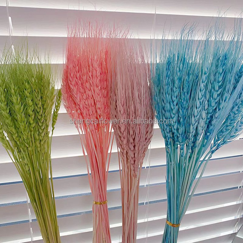 wholesale Wheat Grass Bouquet Wheat Fall Arrangement Stalks Natural Ear of Grain Flowers for Home Wedding