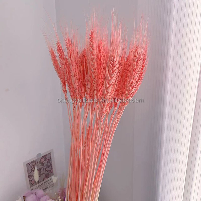 wholesale Wheat Grass Bouquet Wheat Fall Arrangement Stalks Natural Ear of Grain Flowers for Home Wedding