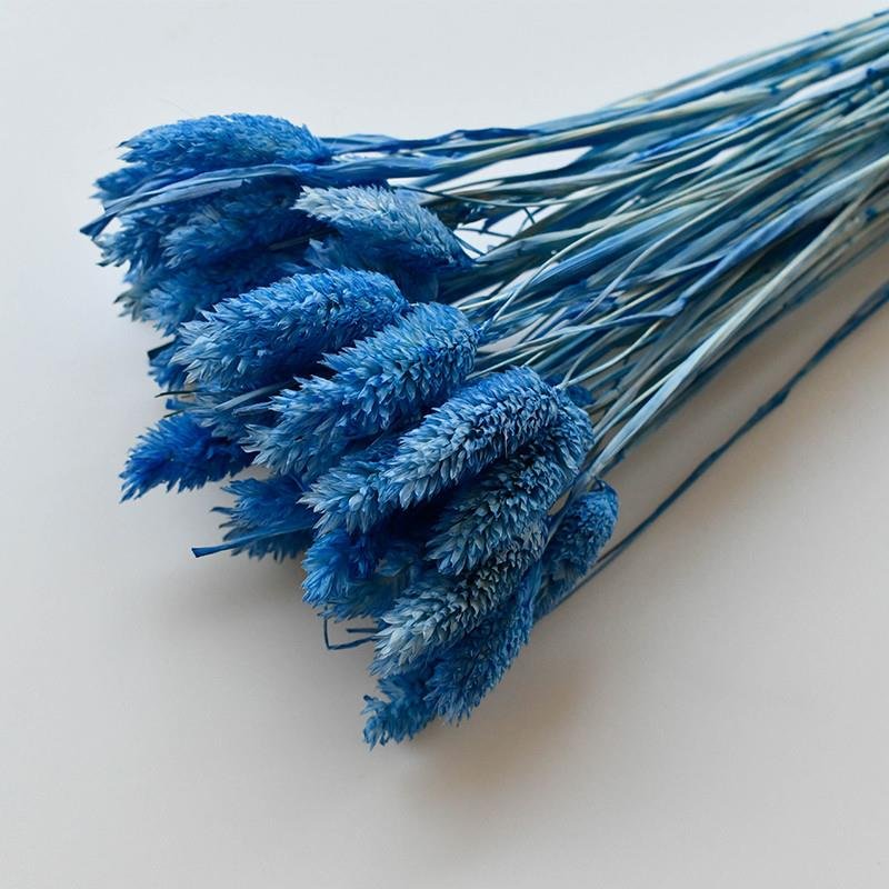 2024 Yunnan Wholesale Dried Flower Jewelry Grass Gem Grass Phalaris For Wedding Centerpieces/Bouquet