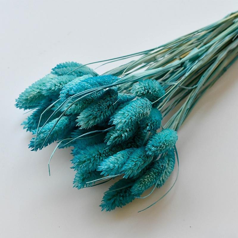 2024 Yunnan Wholesale Dried Flower Jewelry Grass Gem Grass Phalaris For Wedding Centerpieces/Bouquet