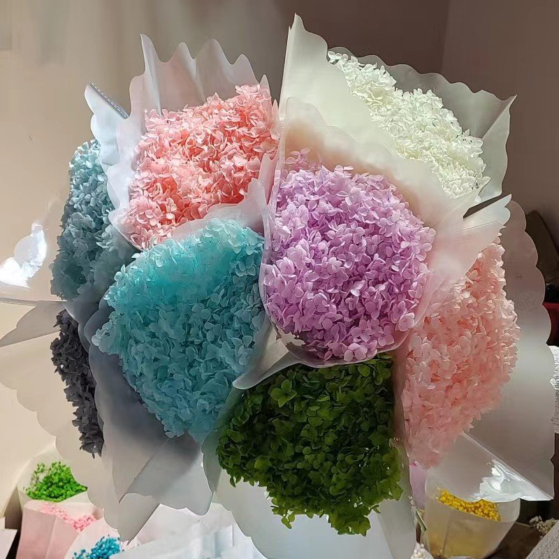 Perennials dried flowers hydrangea natural plants natural flowers really hydrangea wedding decoration