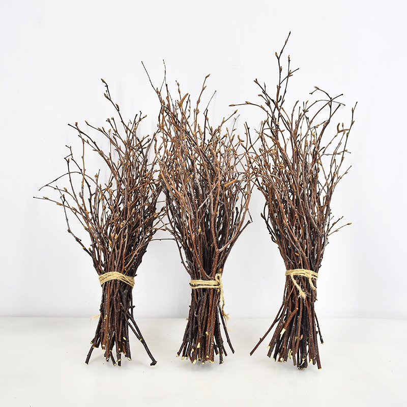 Decorative Natural Birch Branch 17" to 45' customized height, Birch Twig Spray Branches for decoration