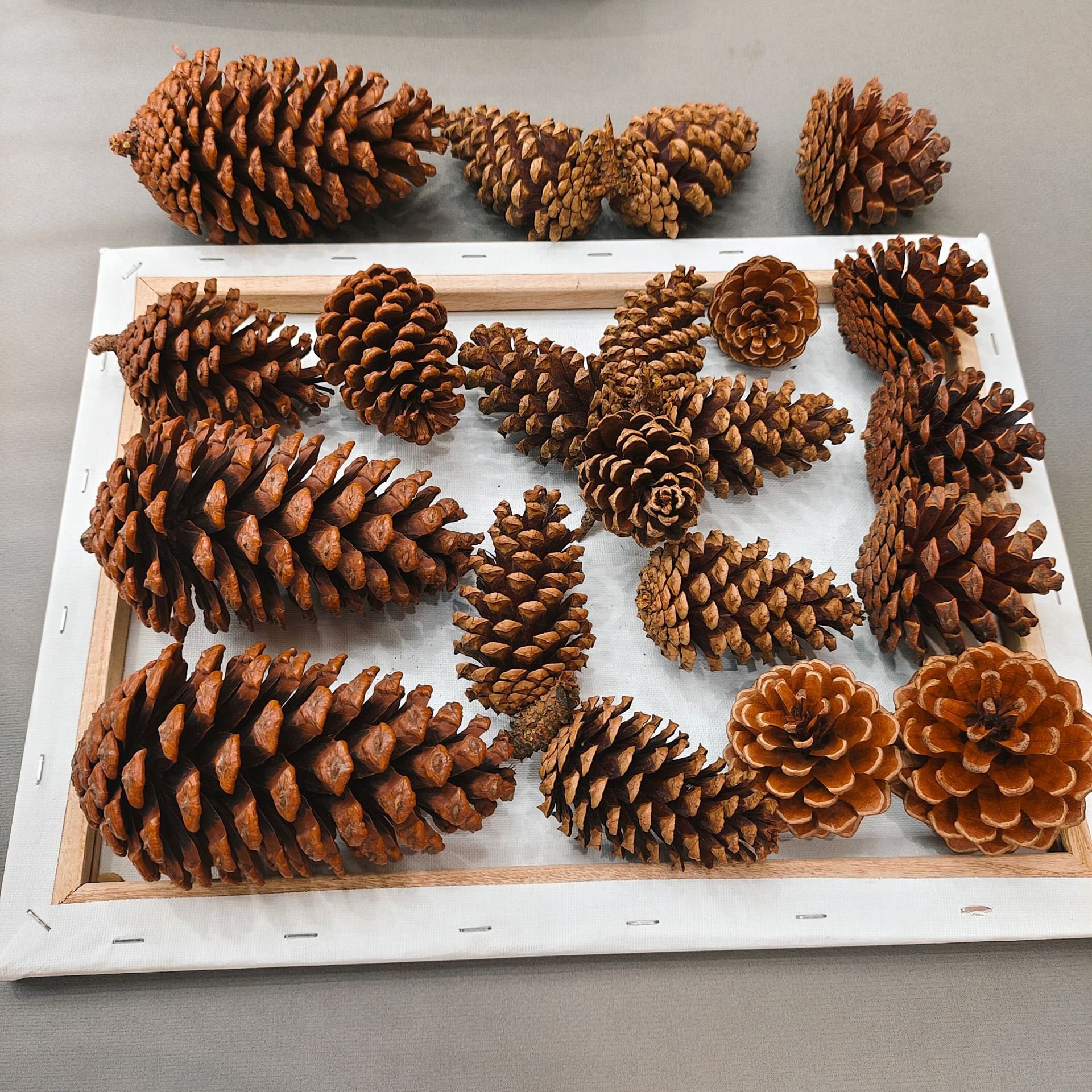 Natural pine cone deal apple dried natural pinecones, christmas home decoration
