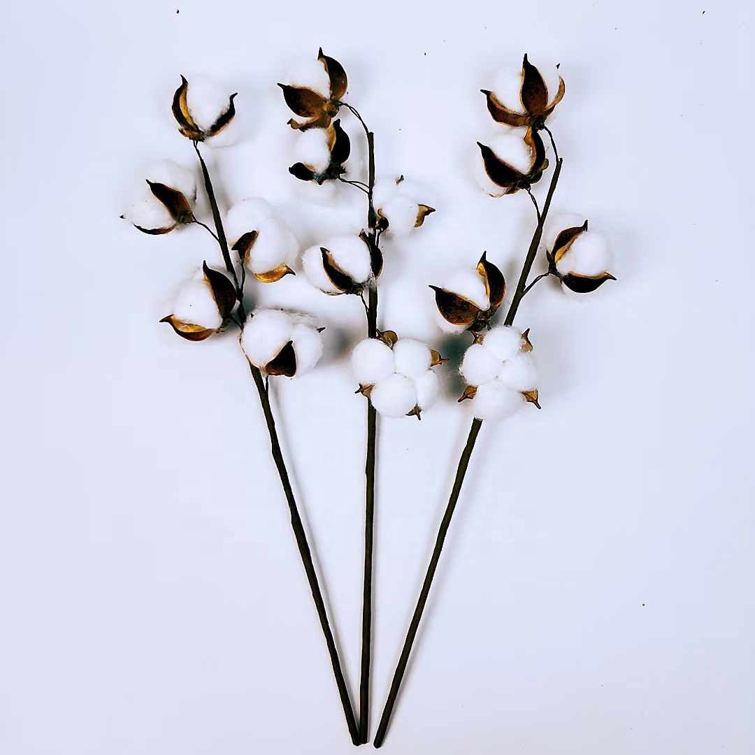 5 heads of cotton INS style wedding bouquet bedroom home decoration artificial flowers multihead dry branch cotton dried flowers