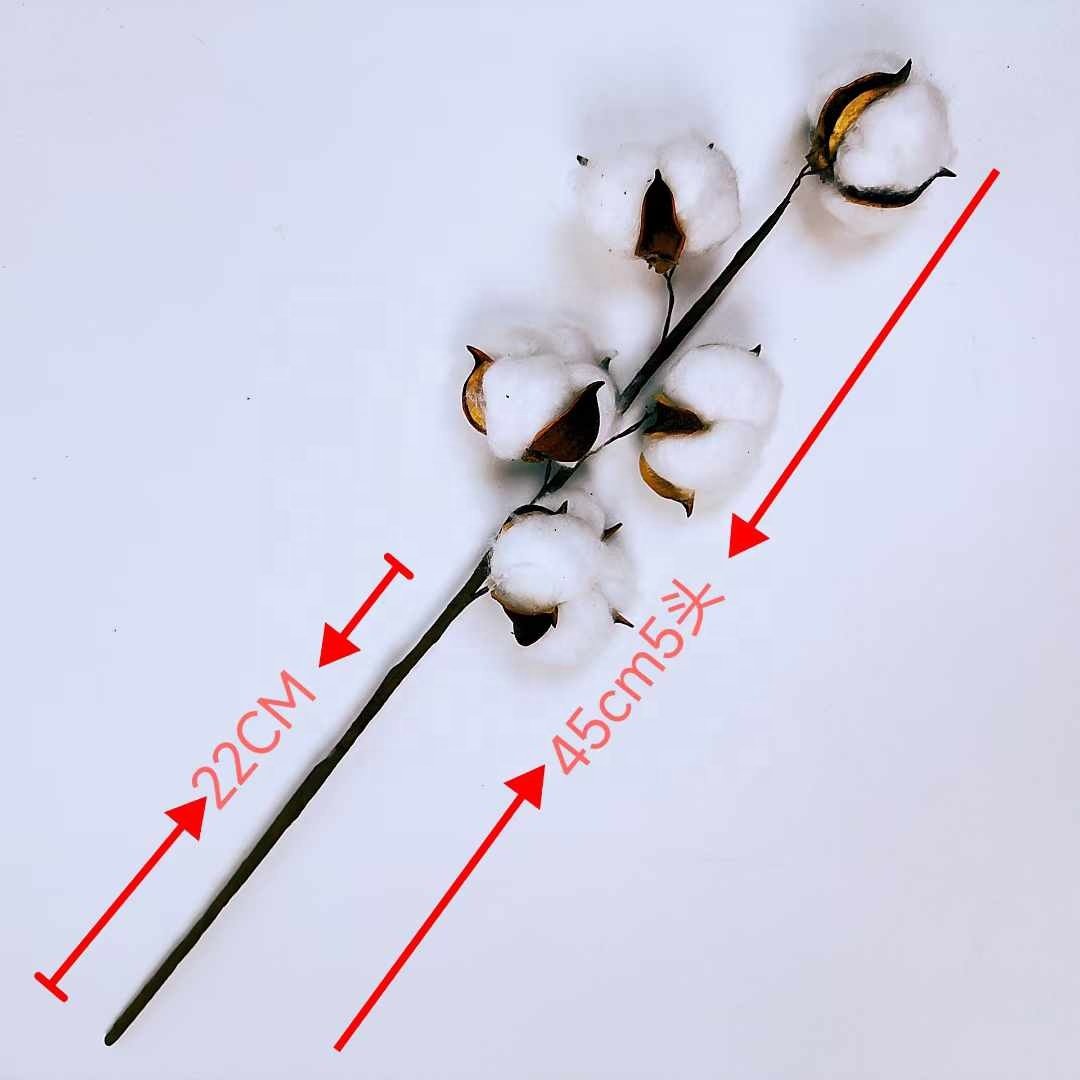 5 heads of cotton INS style wedding bouquet bedroom home decoration artificial flowers multihead dry branch cotton dried flowers