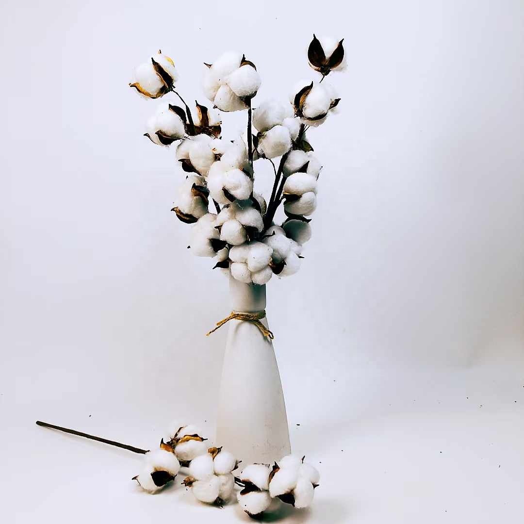5 heads of cotton INS style wedding bouquet bedroom home decoration artificial flowers multihead dry branch cotton dried flowers