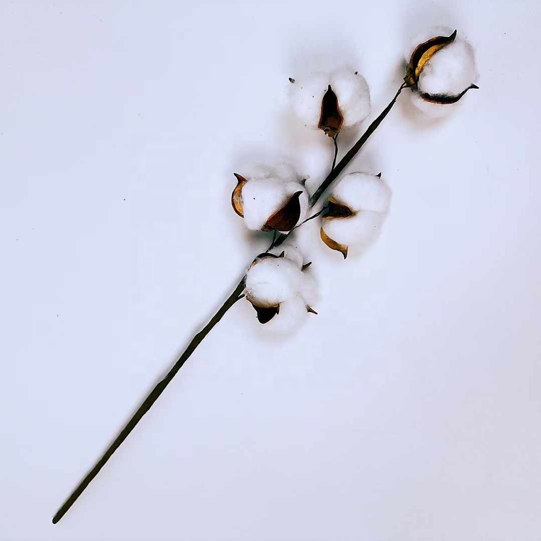 5 heads of cotton INS style wedding bouquet bedroom home decoration artificial flowers multihead dry branch cotton dried flowers