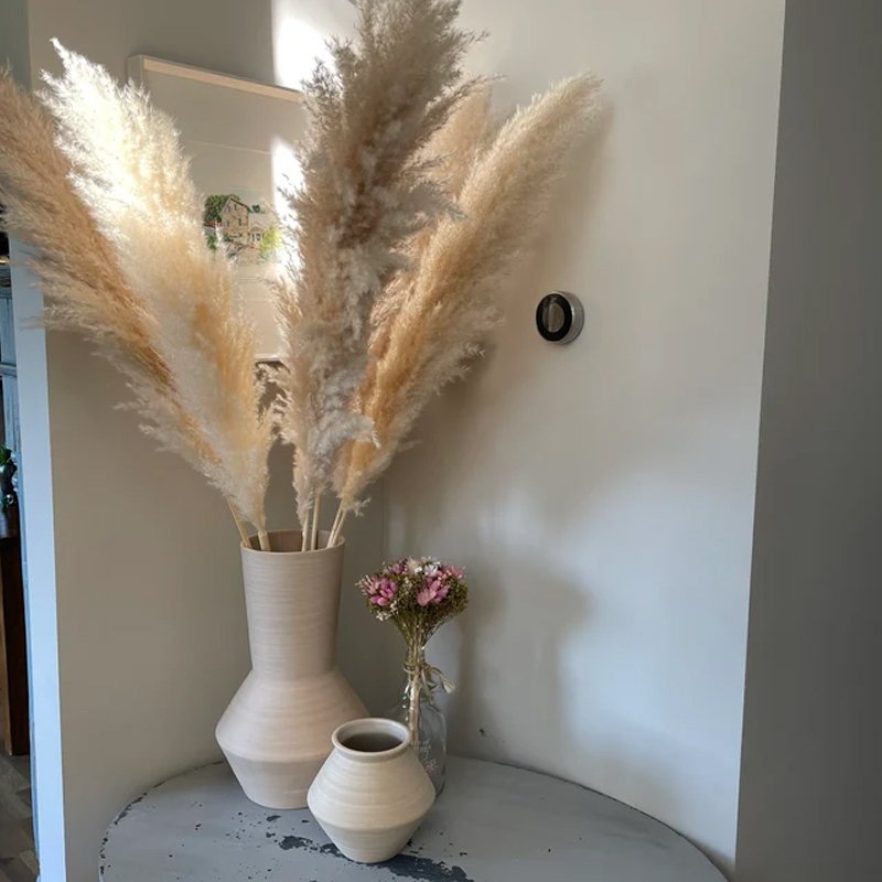 Wholesale Boho Wedding Decor Large Plume Dry Pampas Grass Flower Decor Natural Real Preserved Dried Pampas Grass For Wedding
