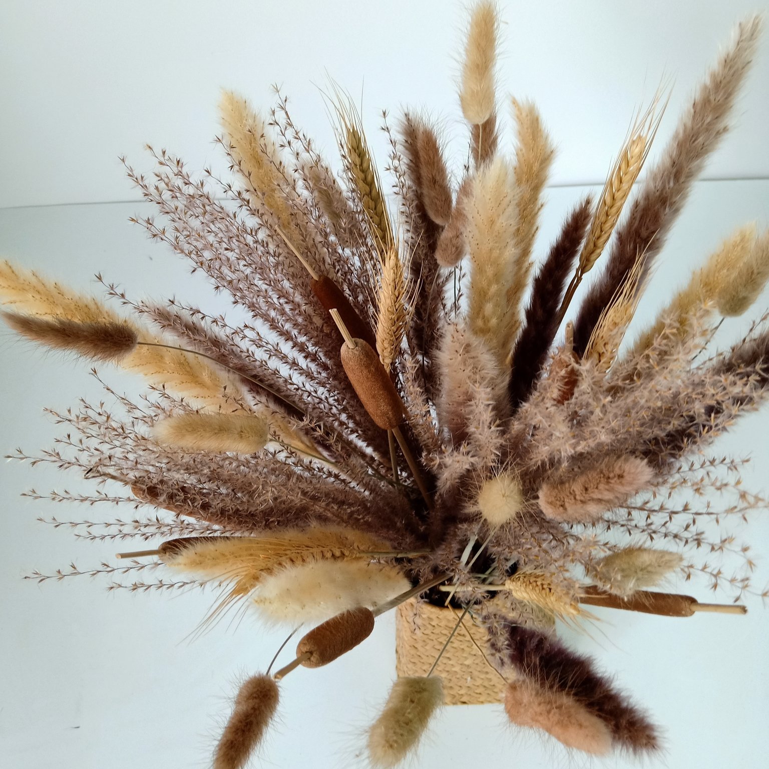 Dried Natural Flower bouquet Pampas Grass, Reed Plume,Bunny tails grass, Cattails,Home Decoration