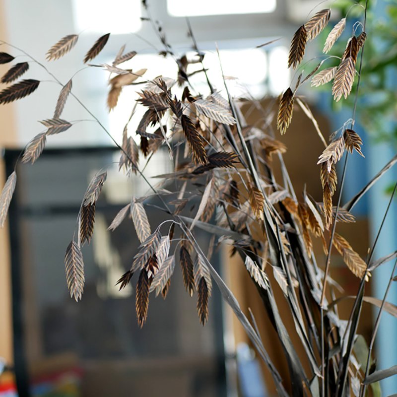 Chasmanthium Latifolium Wholesale Natural Dried Floral Diamond Grass Sea Oats Flower Small Pan Grass Chasmanthium Latifolium