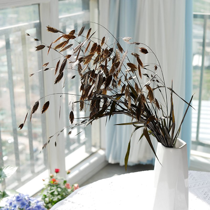 Chasmanthium Latifolium Wholesale Natural Dried Floral Diamond Grass Sea Oats Flower Small Pan Grass Chasmanthium Latifolium