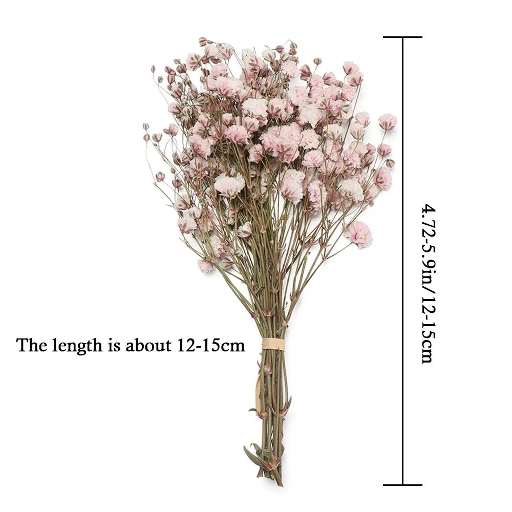 Dried Coloured Mini Gypsophila Bunches Dried Baby's Breath Flowers for Gift Wedding Home Decor