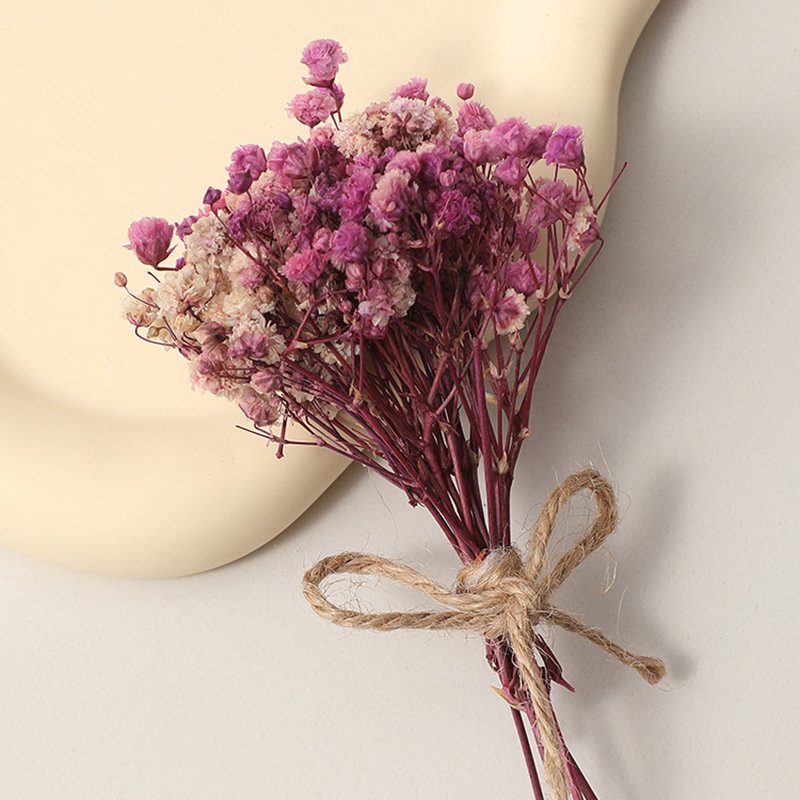 Dried Coloured Mini Gypsophila Bunches Dried Baby's Breath Flowers for Gift Wedding Home Decor