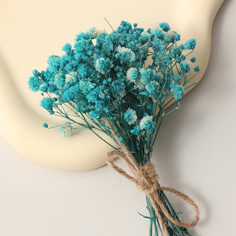 Dried Coloured Mini Gypsophila Bunches Dried Baby's Breath Flowers for Gift Wedding Home Decor