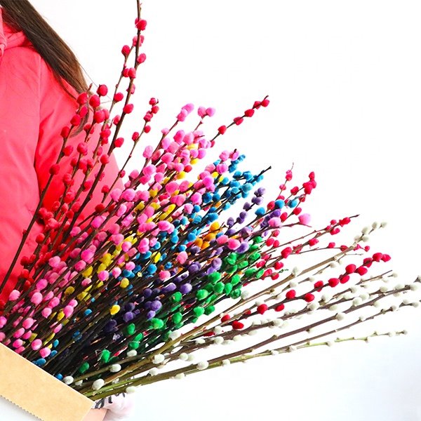 Dried Flowers Willow Branches Natural Color Willow Tree Figurines Decoration Flowers