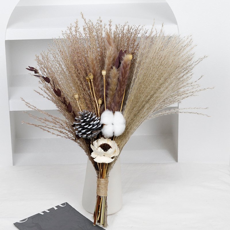 CH-084 wholesale papaver rhoeas natural pampas grass cotton boho wedding dried flowers bouquet bridal