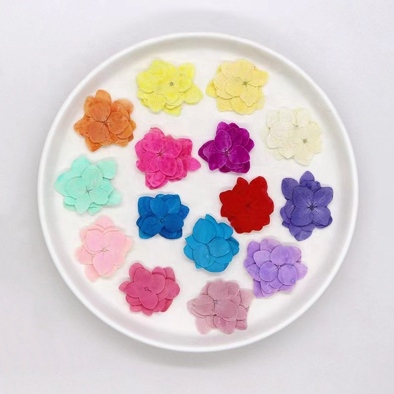 MNR2154 high quality dyed colorful dried hydrangea flowers for DIY flower materials