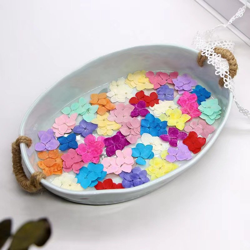 MNR2154 high quality dyed colorful dried hydrangea flowers for DIY flower materials